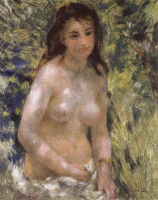 Pierre-Auguste Renoir Nude in the Sunlight